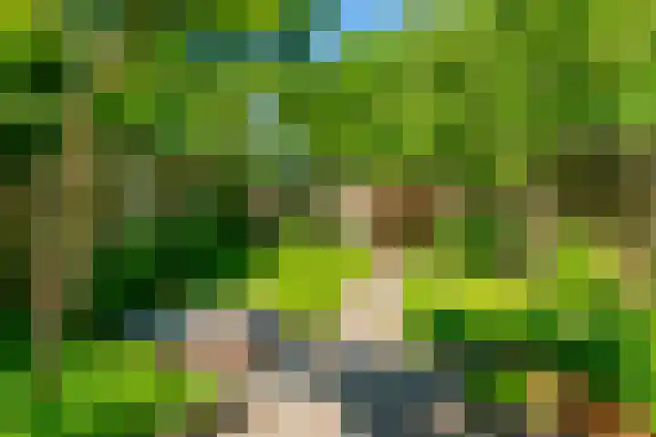 Haverstede 41 Diemen thumbnail 23