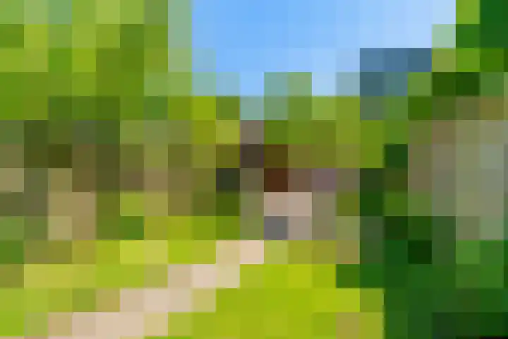 Haverstede 41 Diemen thumbnail 24