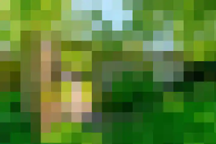 Haverstede 41 Diemen thumbnail 27