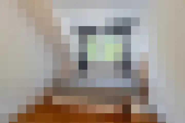 Haverstede 41 Diemen thumbnail 32