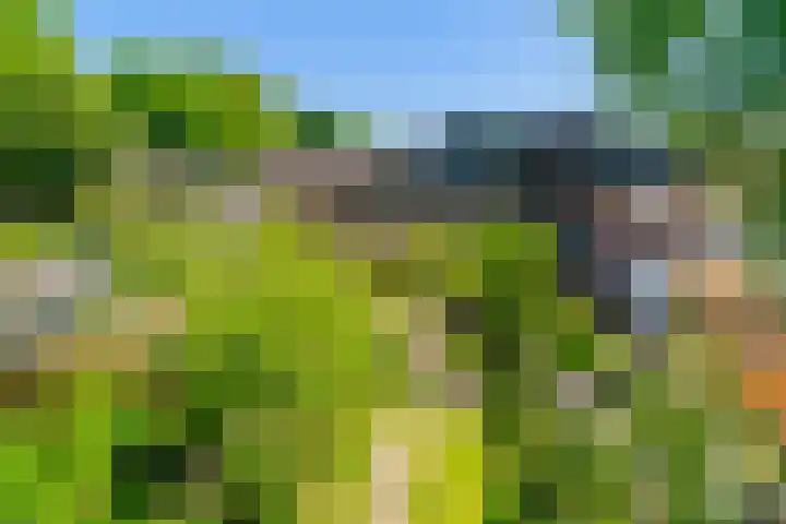 Haverstede 41 Diemen thumbnail 47