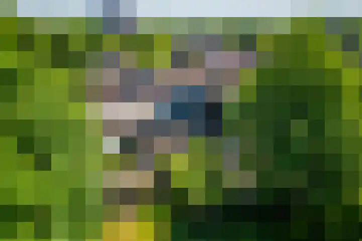 Haverstede 41 Diemen thumbnail 48