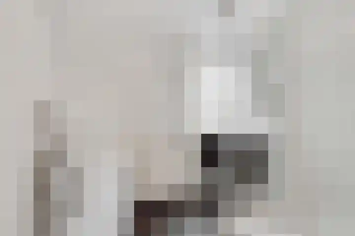 Haverstede 6 Diemen thumbnail 13