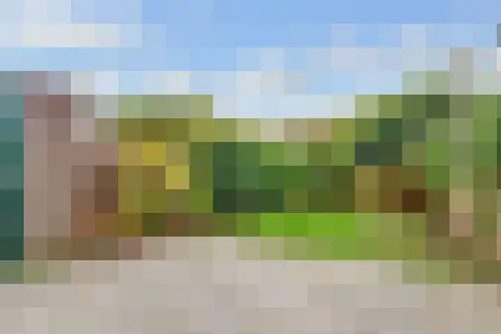 Haverstede 6 Diemen thumbnail 24