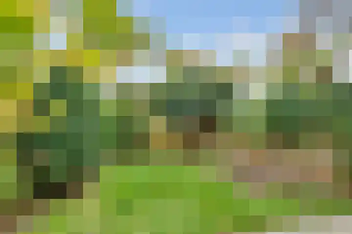 Haverstede 6 Diemen thumbnail 25
