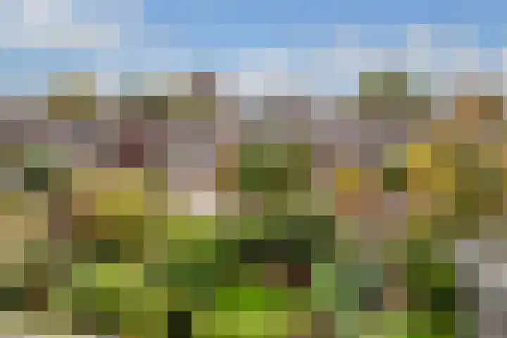 Haverstede 6 Diemen thumbnail 30