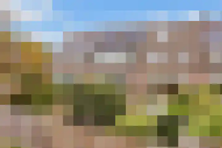 Haverstede 6 Diemen thumbnail 31