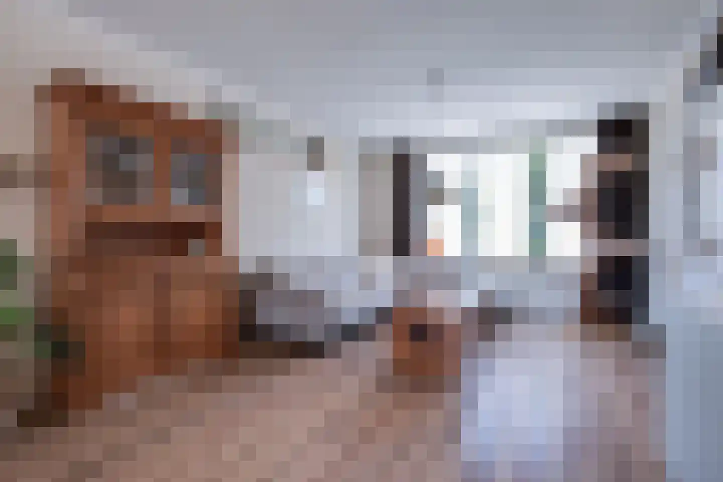 Haverstoppel 11 Ohé en Laak thumbnail 12