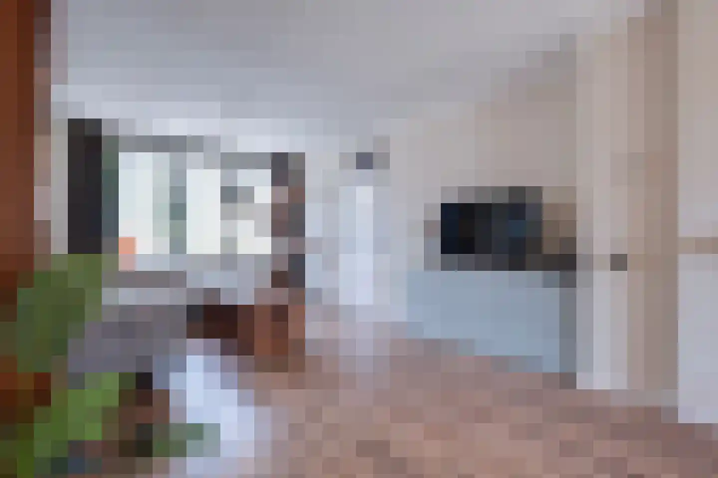 Haverstoppel 11 Ohé en Laak thumbnail 13