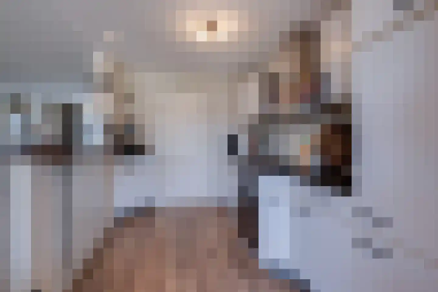 Haverstoppel 11 Ohé en Laak thumbnail 19