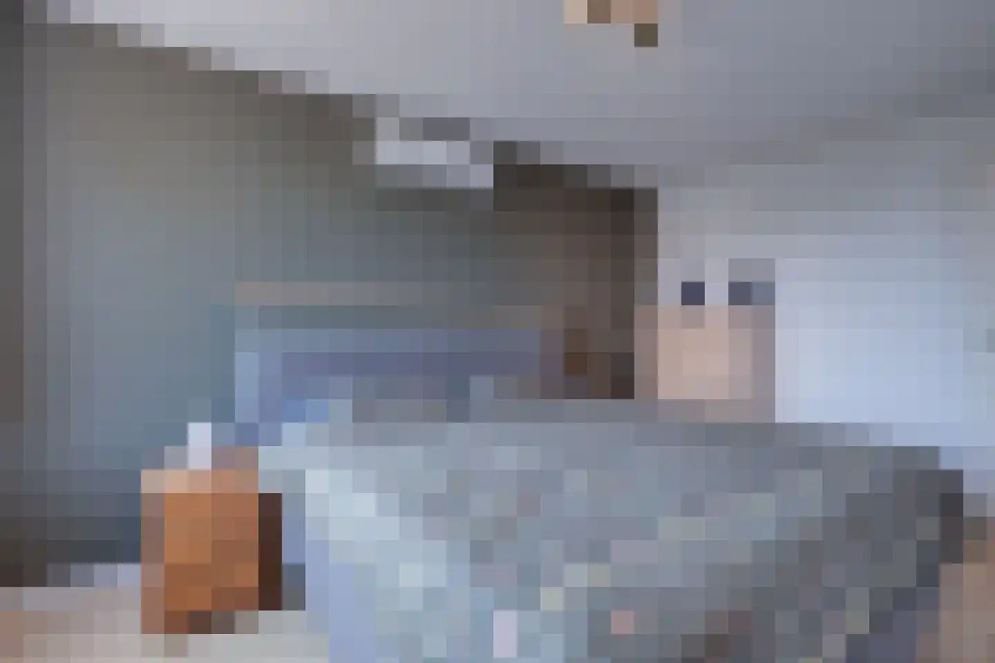 Haverstoppel 11 Ohé en Laak thumbnail 26