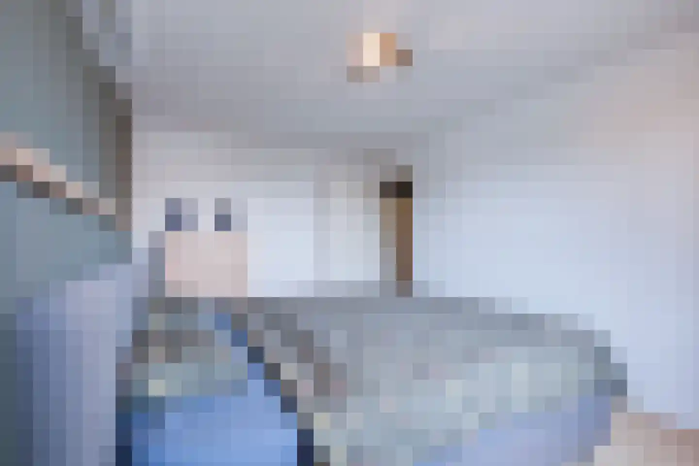 Haverstoppel 11 Ohé en Laak thumbnail 27