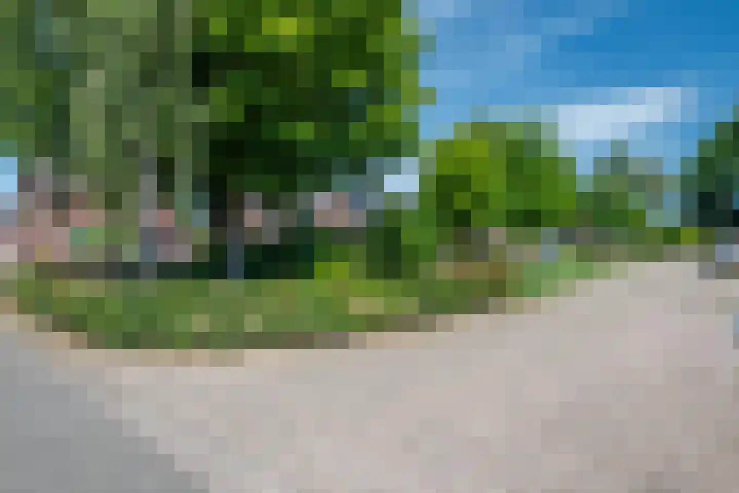 Haverstoppel 11 Ohé en Laak thumbnail 50