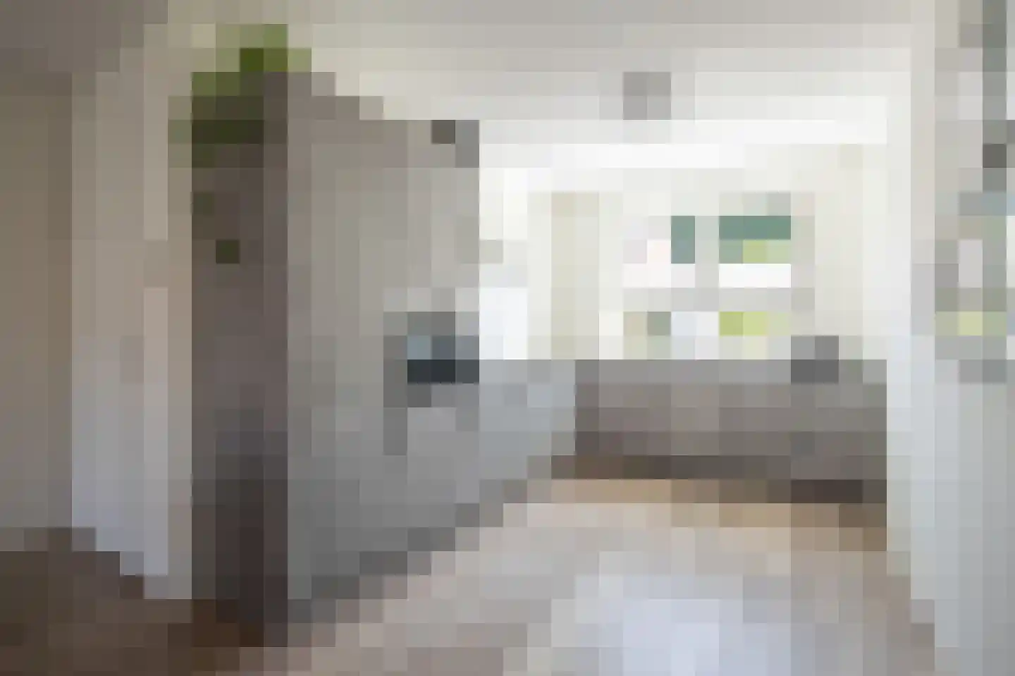 Haverstraat 10 Linne thumbnail 10