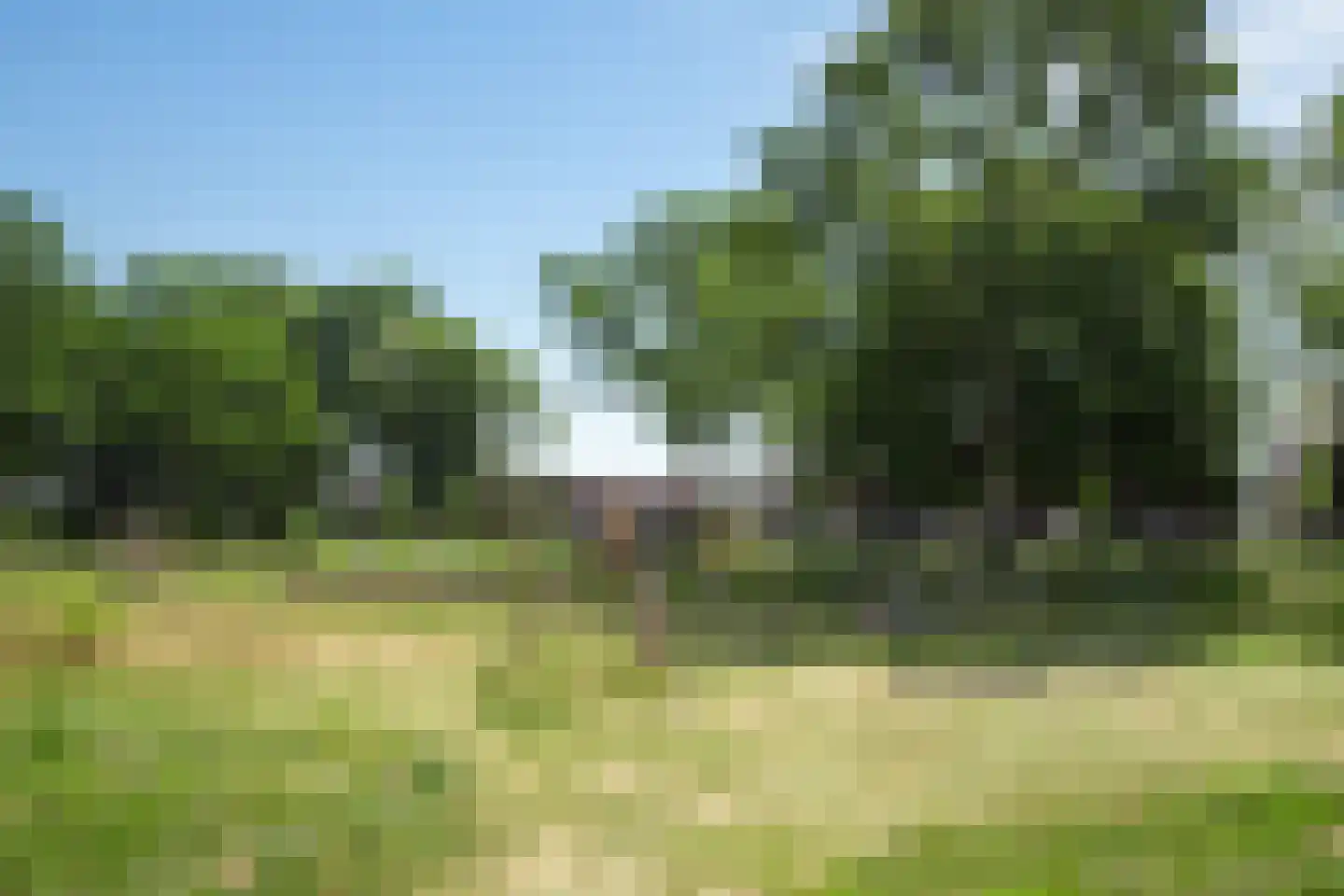 Haverstraat 10 Linne thumbnail 29