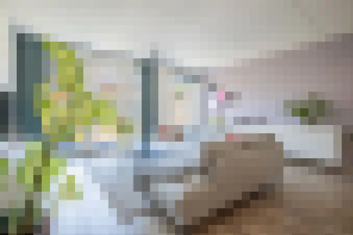 Haverstraat 10 Linne thumbnail 4