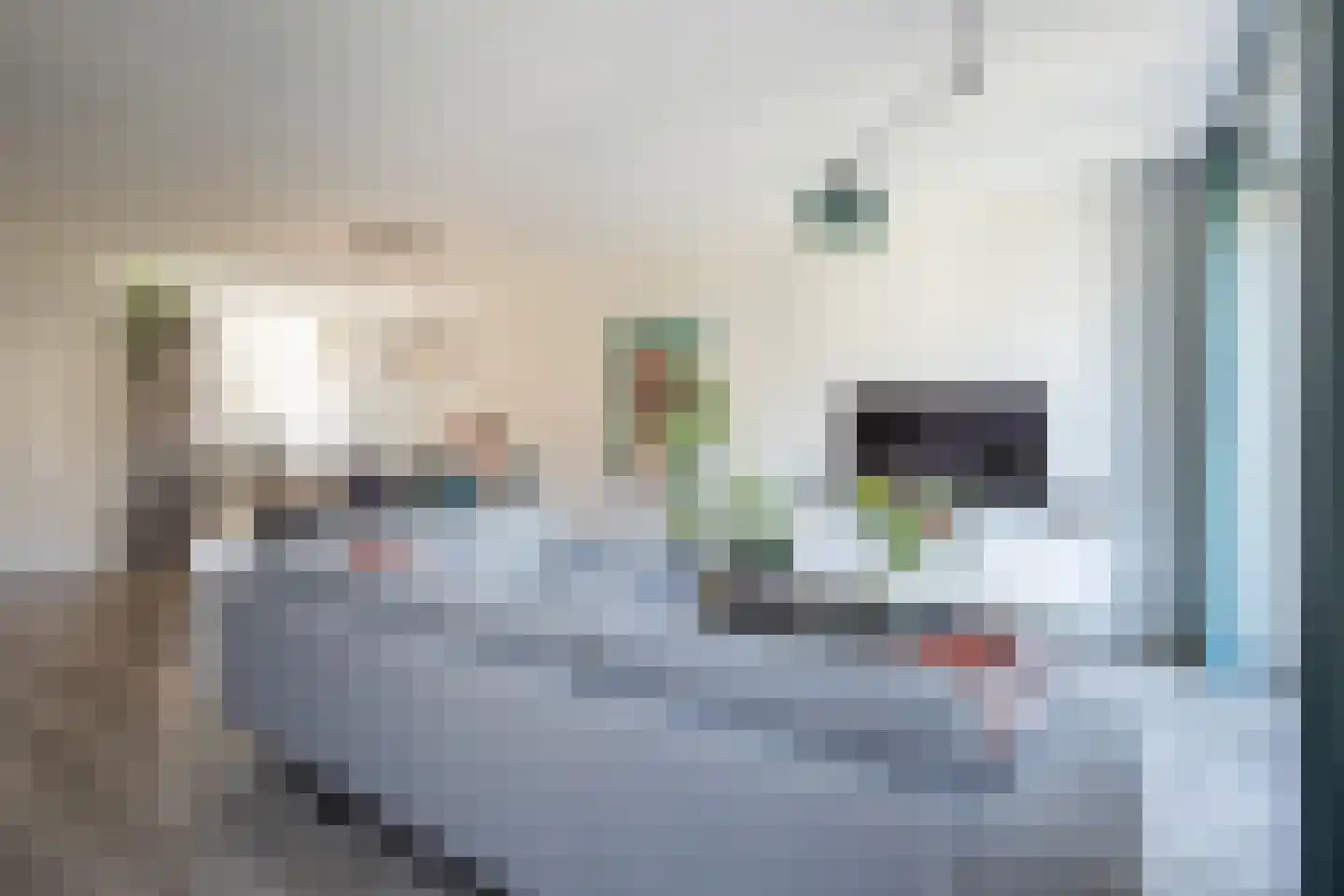 Haverstraat 10 Linne thumbnail 5