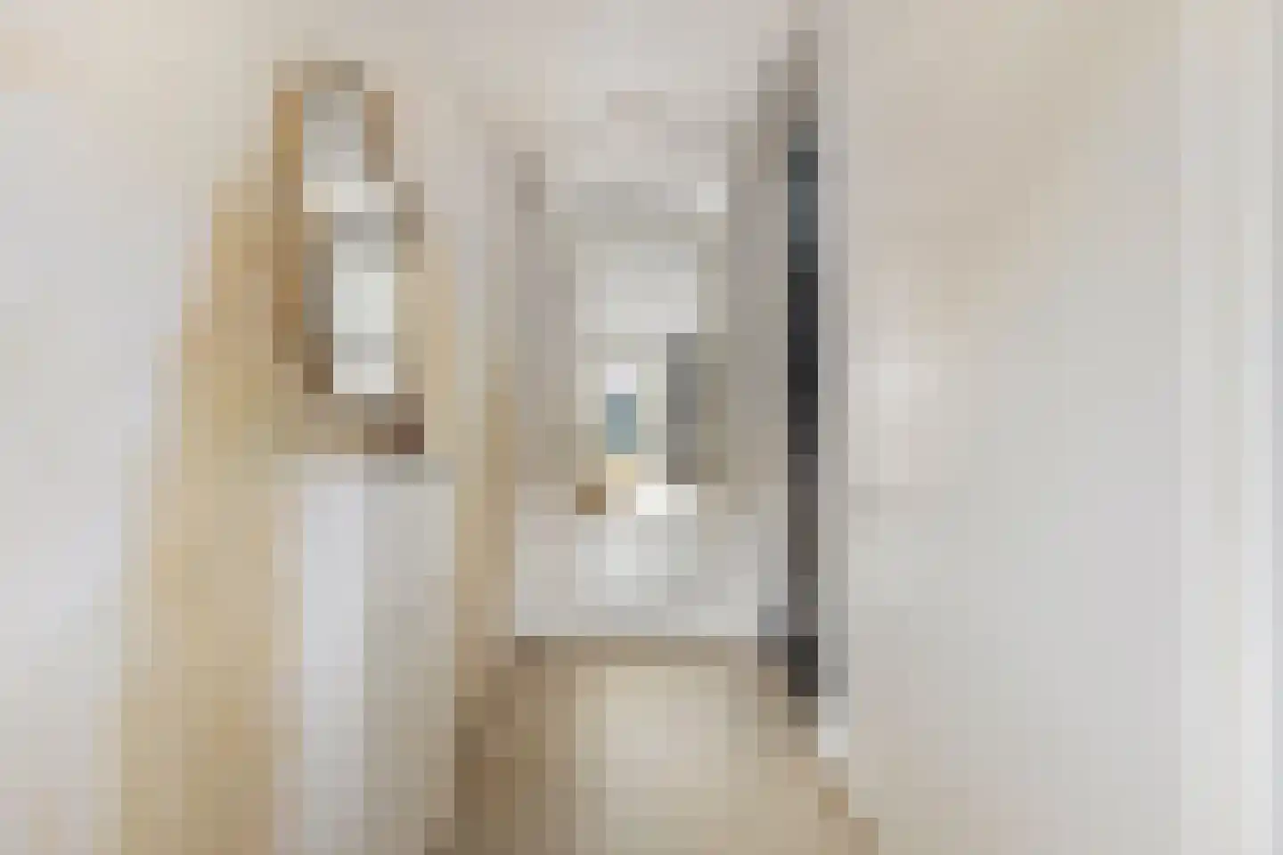 Haverstraat 14 Linne thumbnail 14