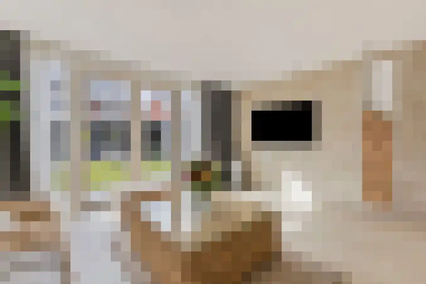 Haverstraat 14 Linne thumbnail 17