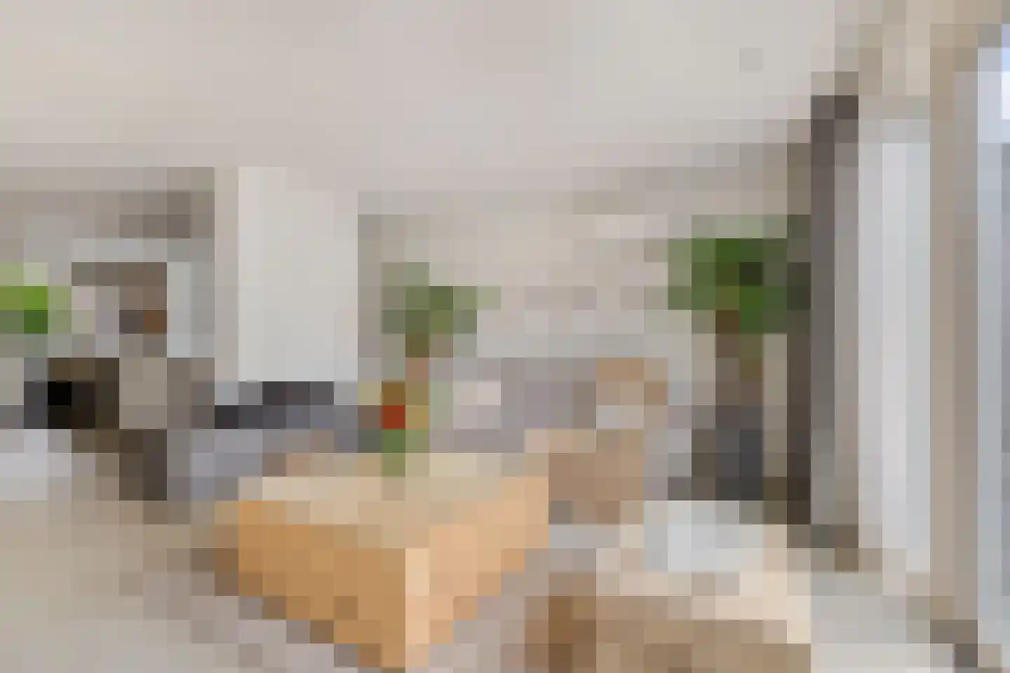 Haverstraat 14 Linne thumbnail 18