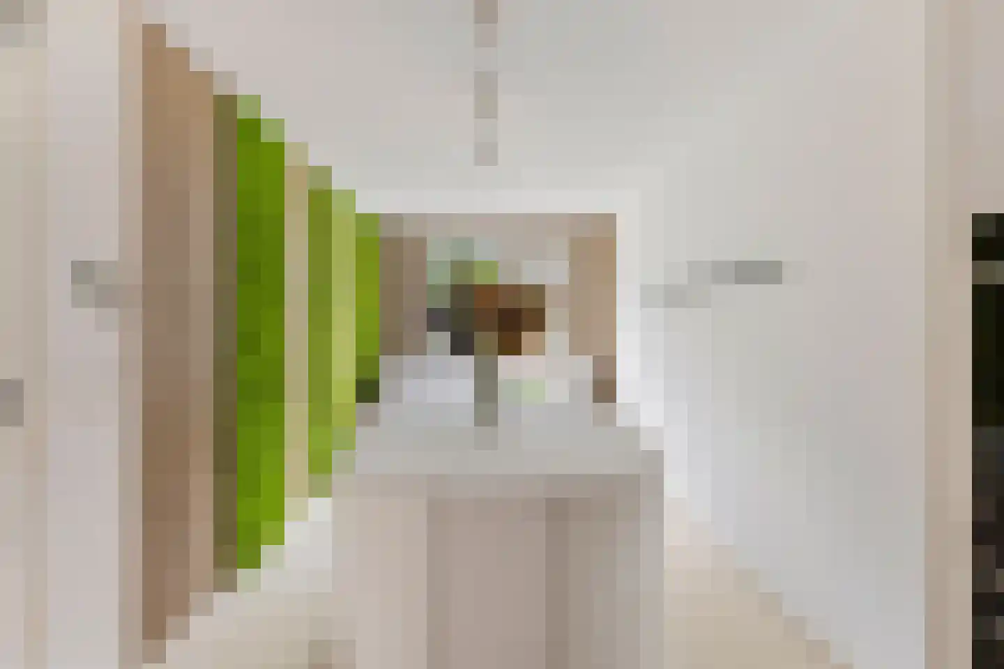 Haverstraat 14 Linne thumbnail 21