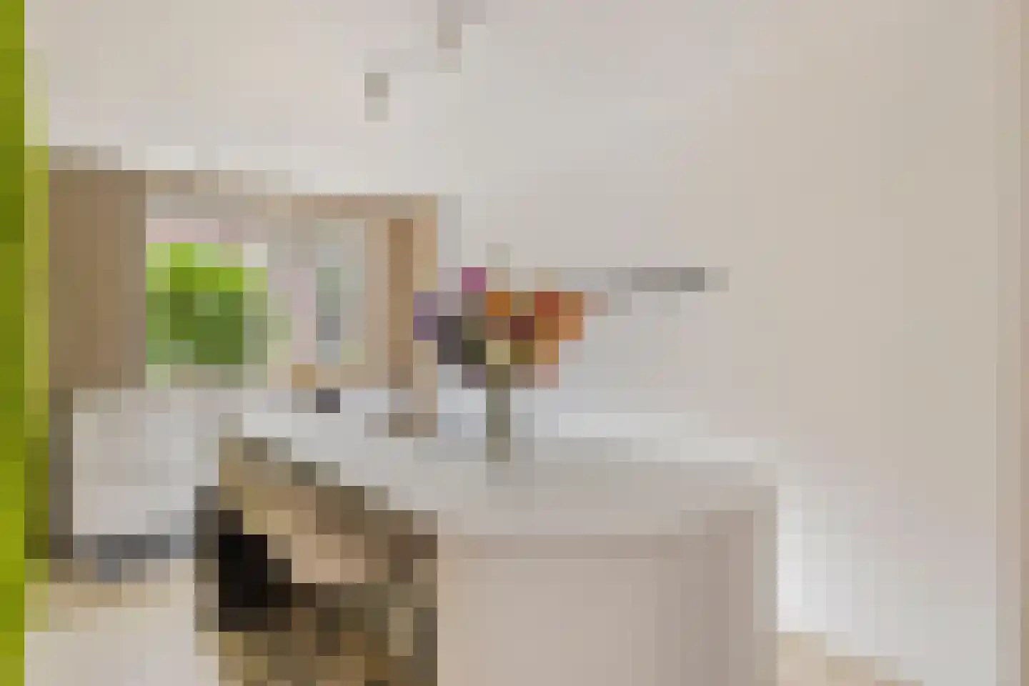 Haverstraat 14 Linne thumbnail 22