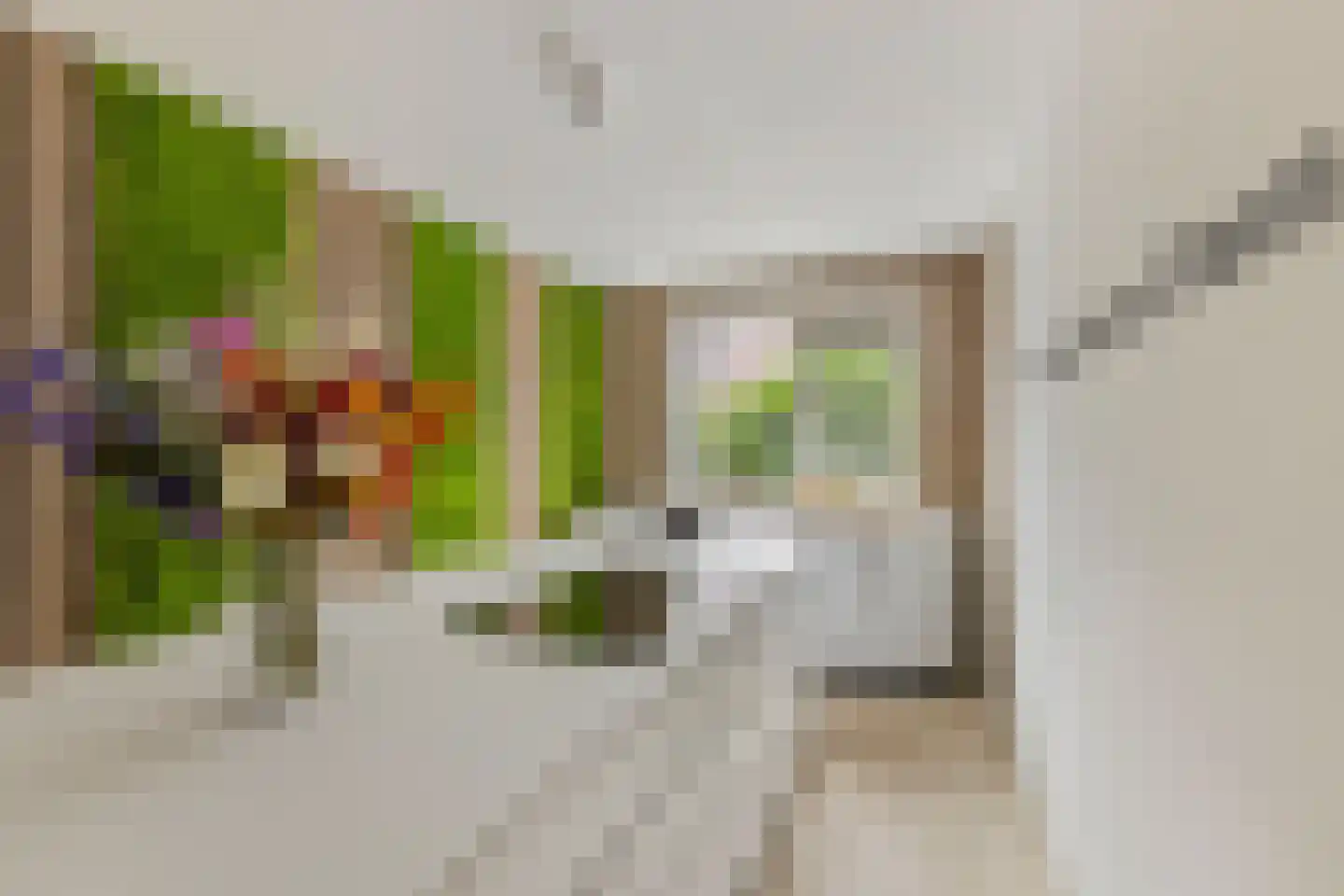 Haverstraat 14 Linne thumbnail 4