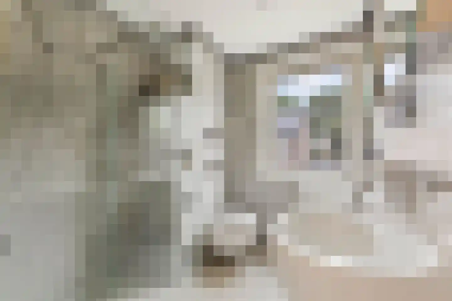 Haverstraat 14 Linne thumbnail 5
