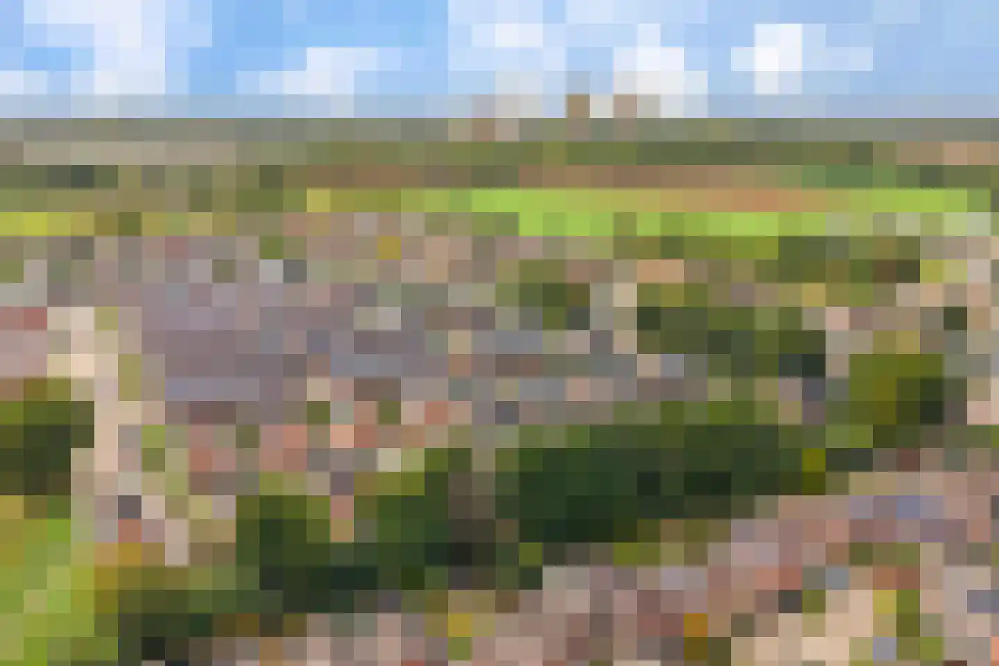 Haverstraat 14 Linne thumbnail 51