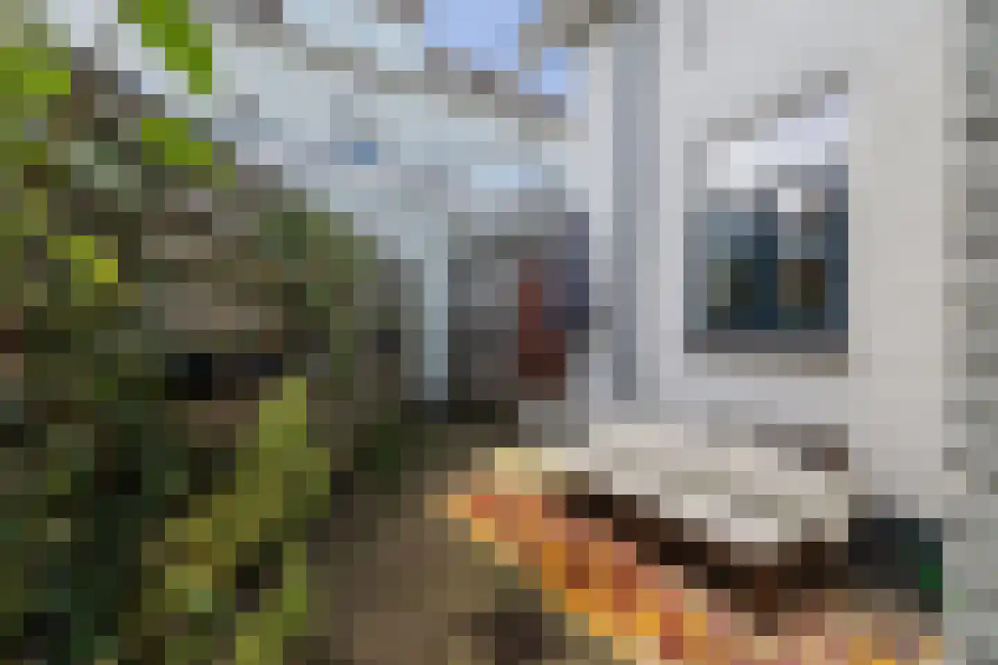 Haverstraat 2 A Deventer thumbnail 32