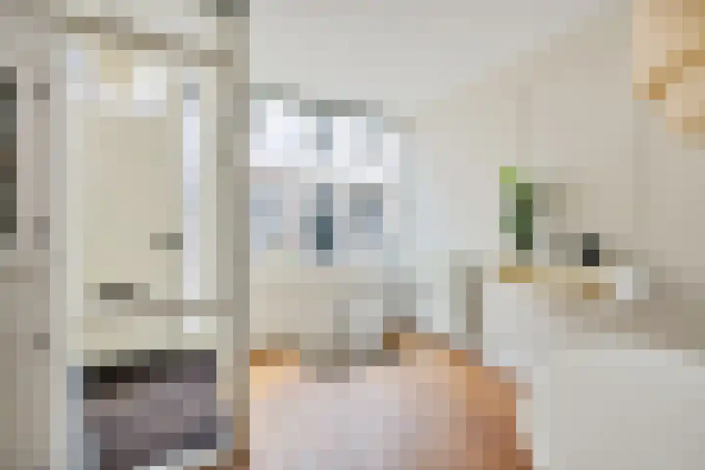 Haverstraat 27 Utrecht thumbnail 11