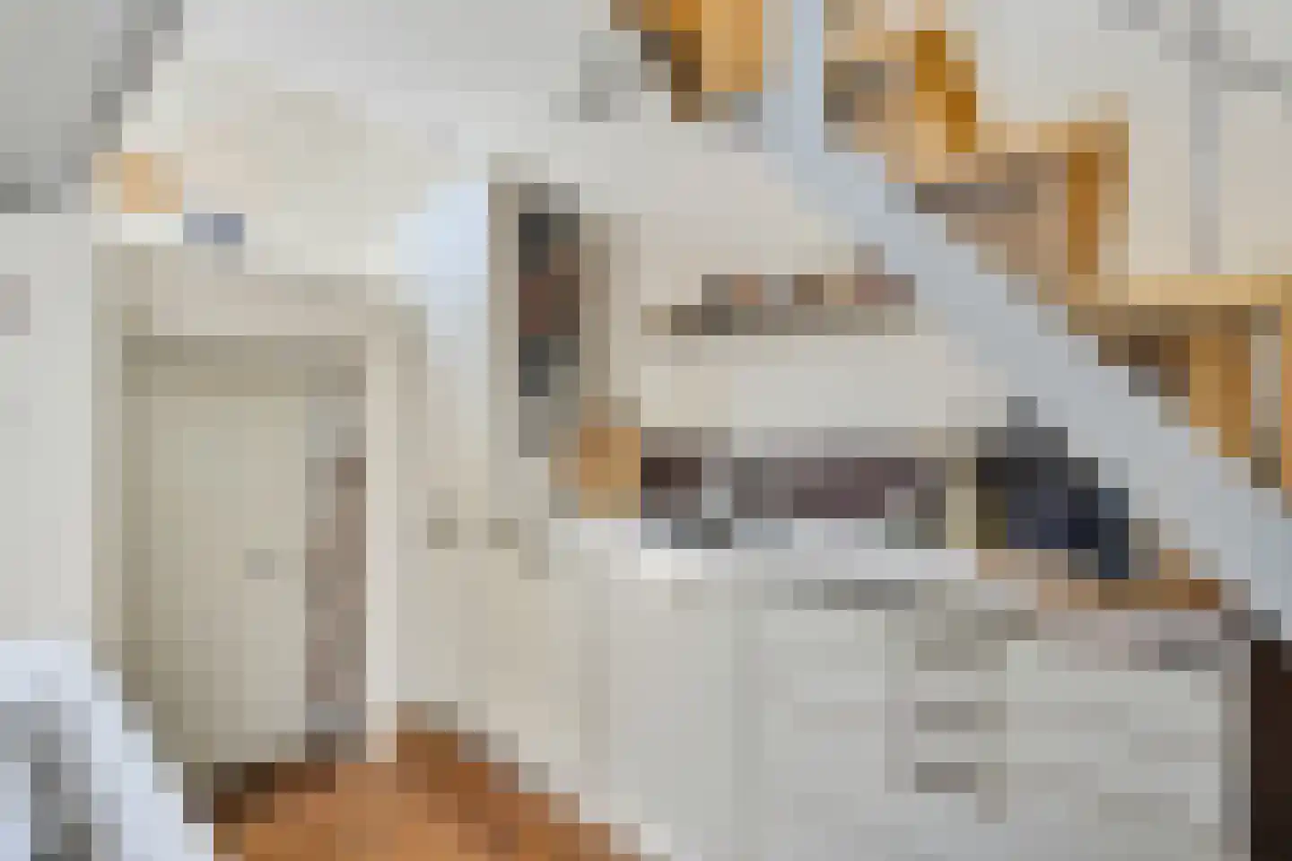 Haverstraat 27 Utrecht thumbnail 16