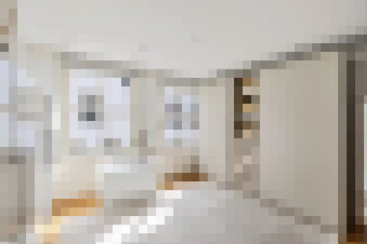 Haverstraat 27 Utrecht thumbnail 5
