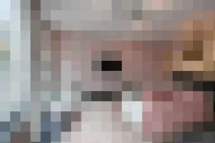 Haverstraat 33 Utrecht thumbnail 9