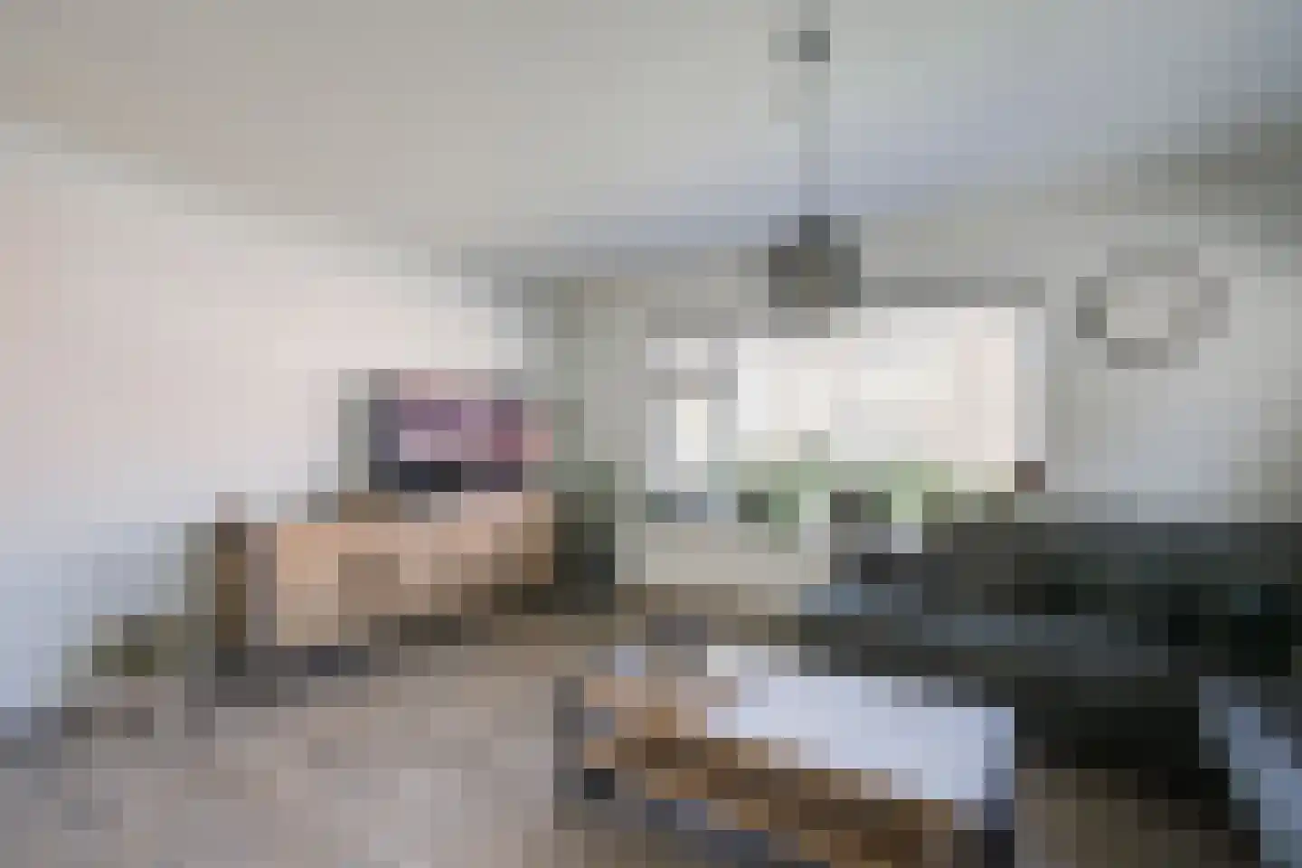 Haverstraat 38 Halle thumbnail 14