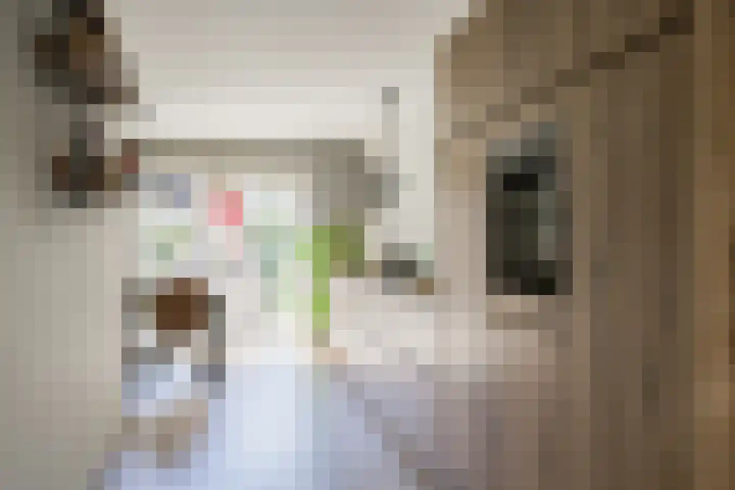 Haverstraat 38 Halle thumbnail 17