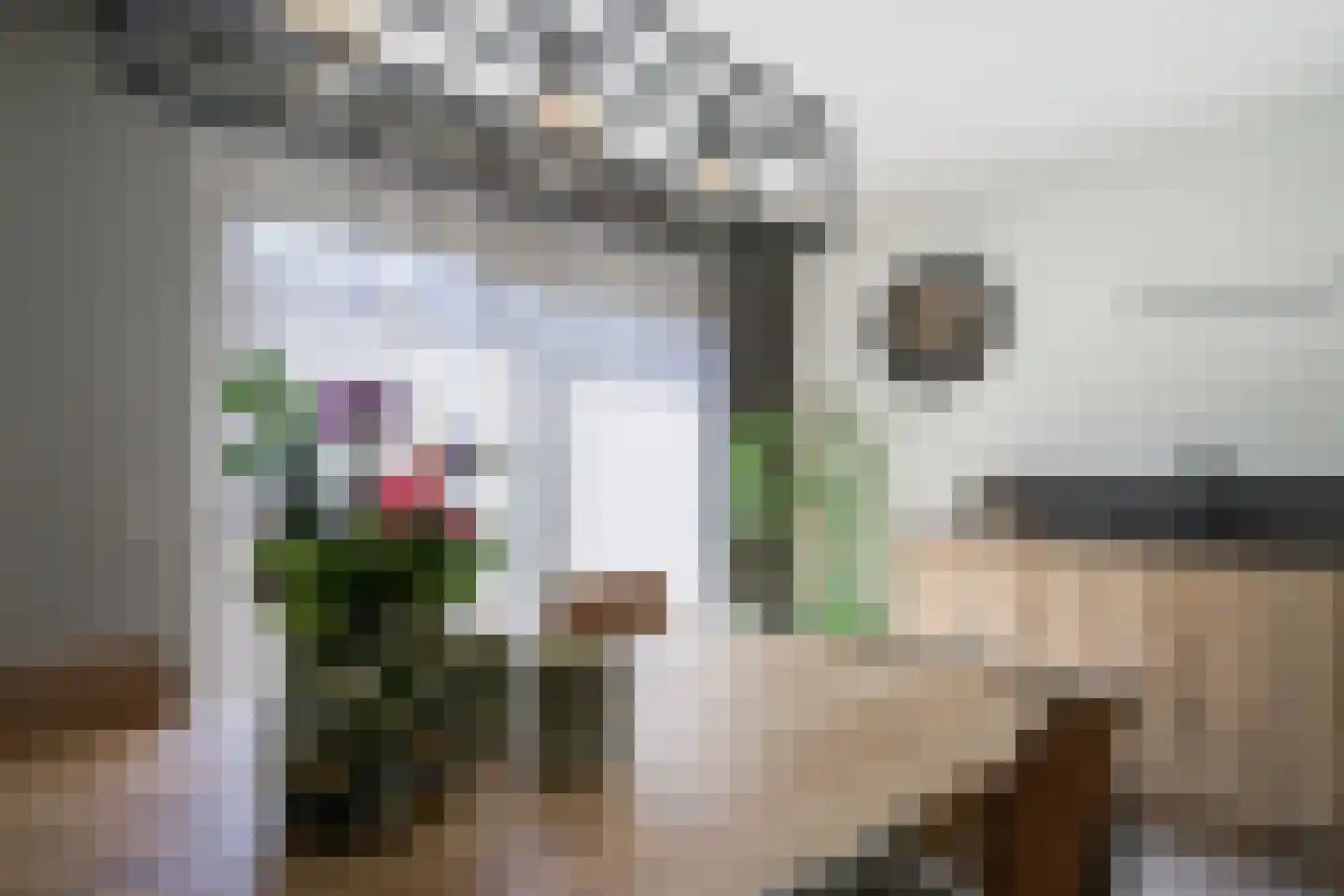 Haverstraat 38 Halle thumbnail 21