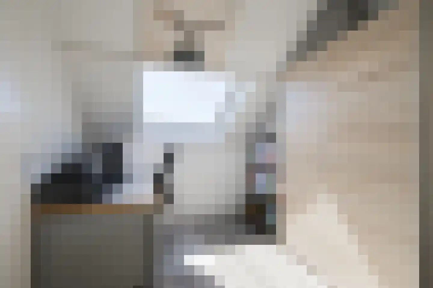 Haverstraat 38 Halle thumbnail 32