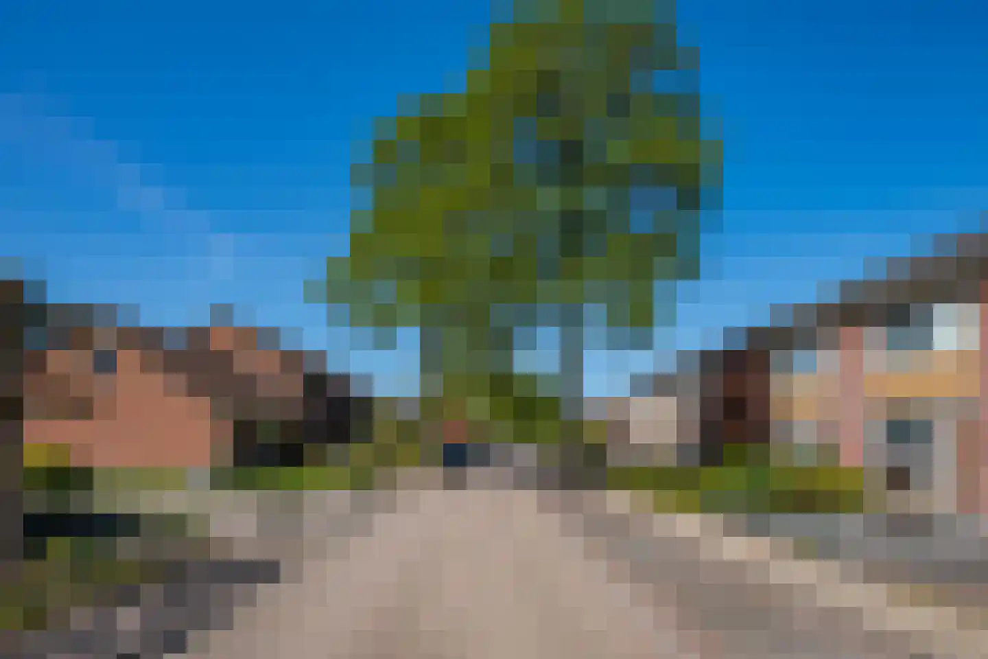 Haverstraat 38 Halle thumbnail 6