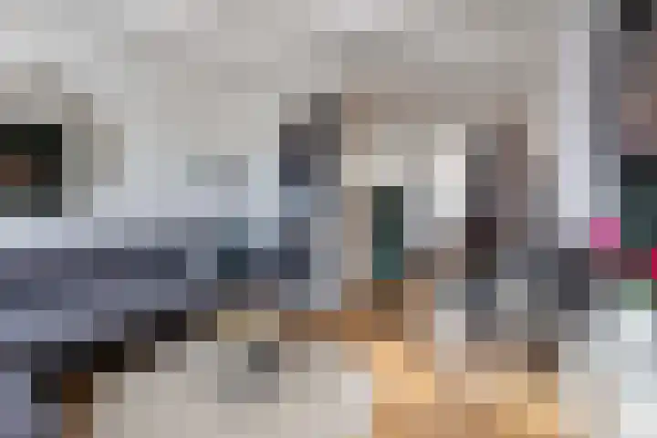Haverstraat 38 Utrecht thumbnail 23