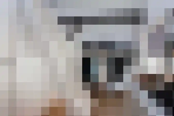 Haverstraat 38 Utrecht thumbnail 37