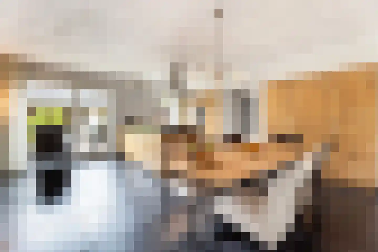 Haverstraat 4 Markelo thumbnail 11