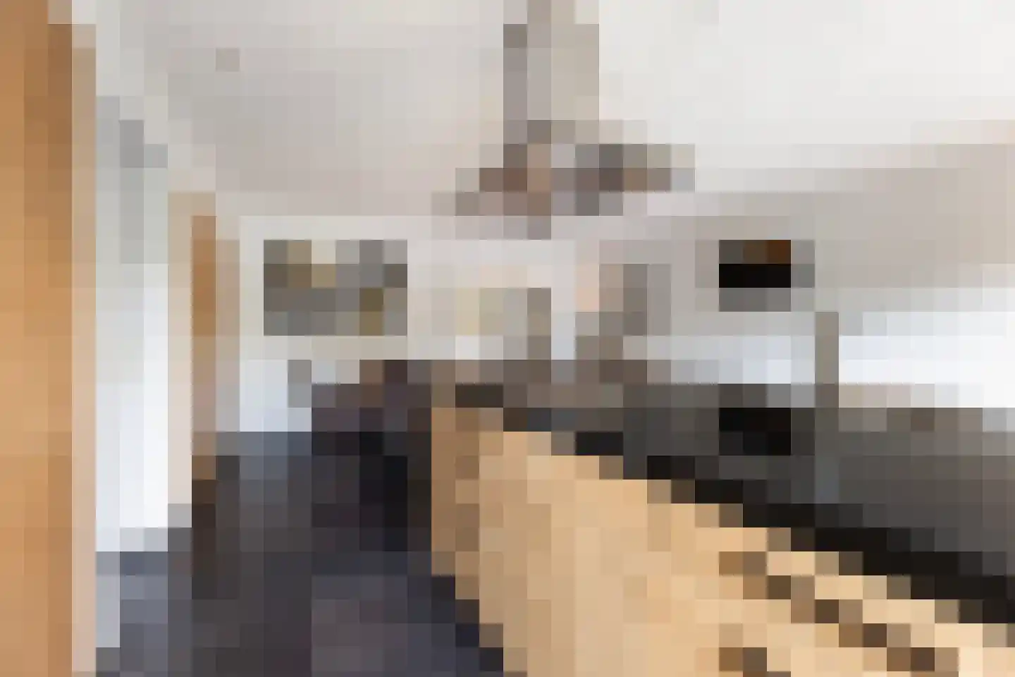 Haverstraat 4 Markelo thumbnail 12