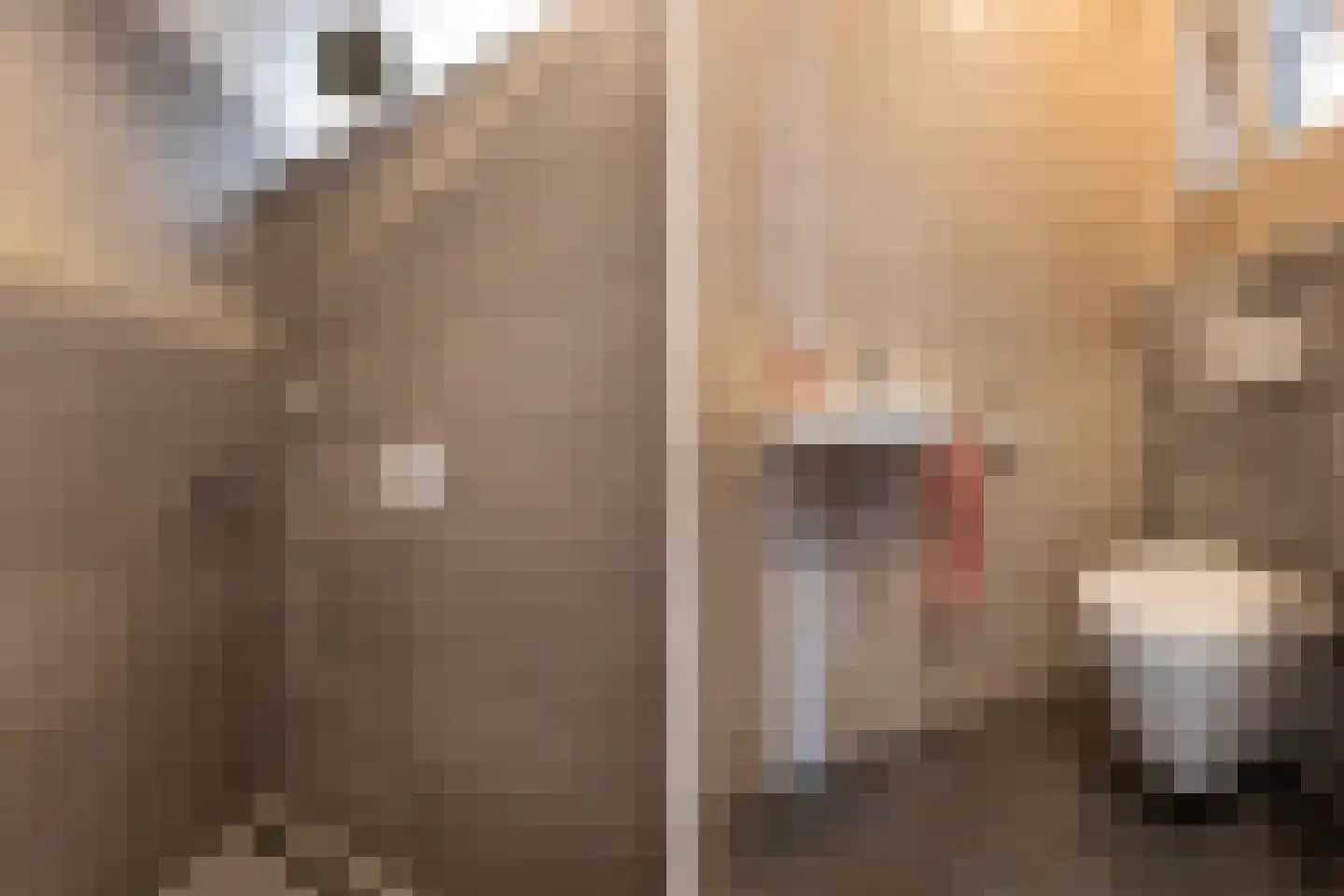 Haverstraat 4 Markelo thumbnail 29