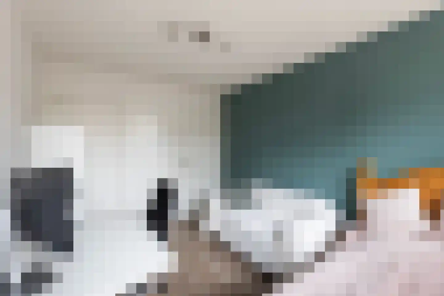 Haverstraat 4 Markelo thumbnail 34