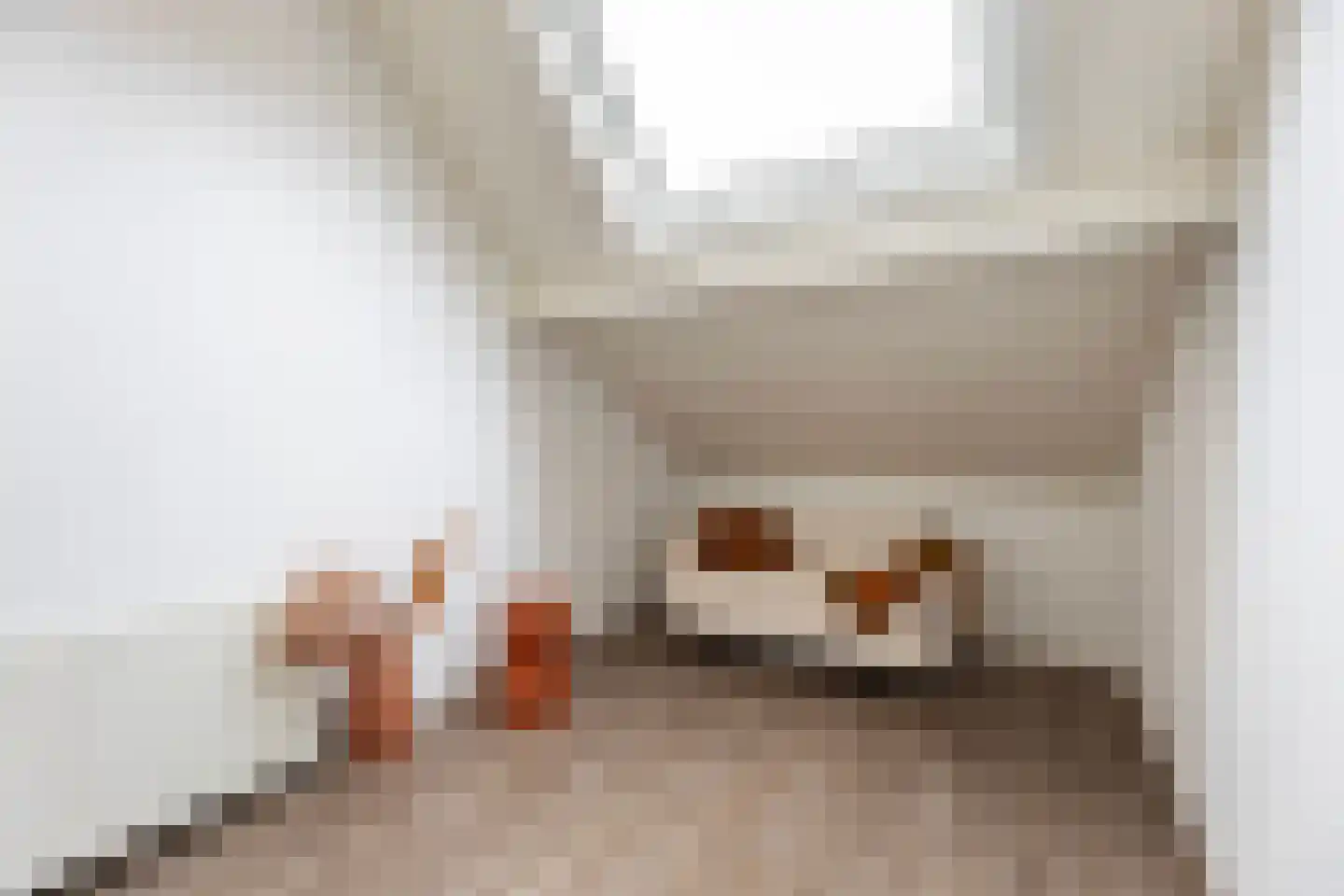 Haverstraat 4 Markelo thumbnail 37