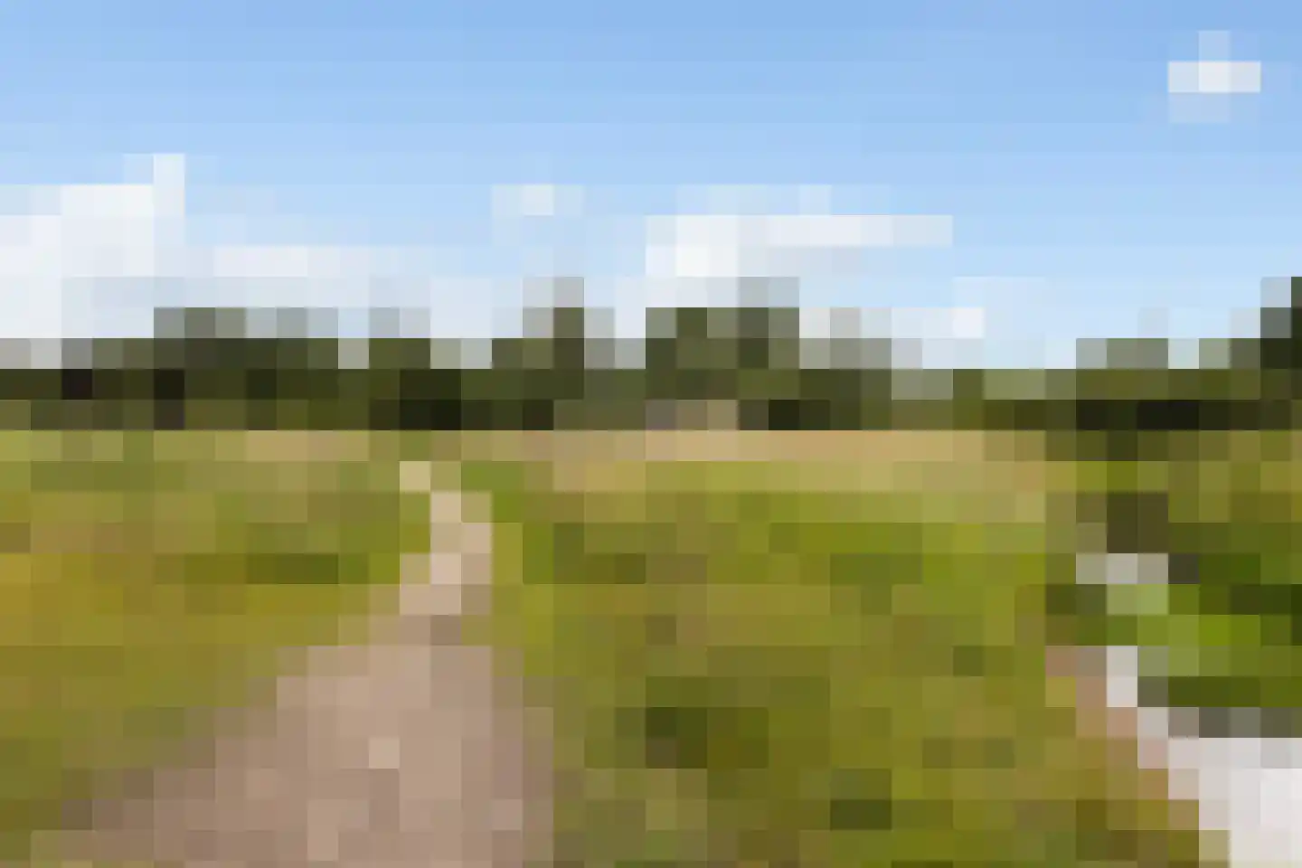 Haverstraat 4 Markelo thumbnail 46