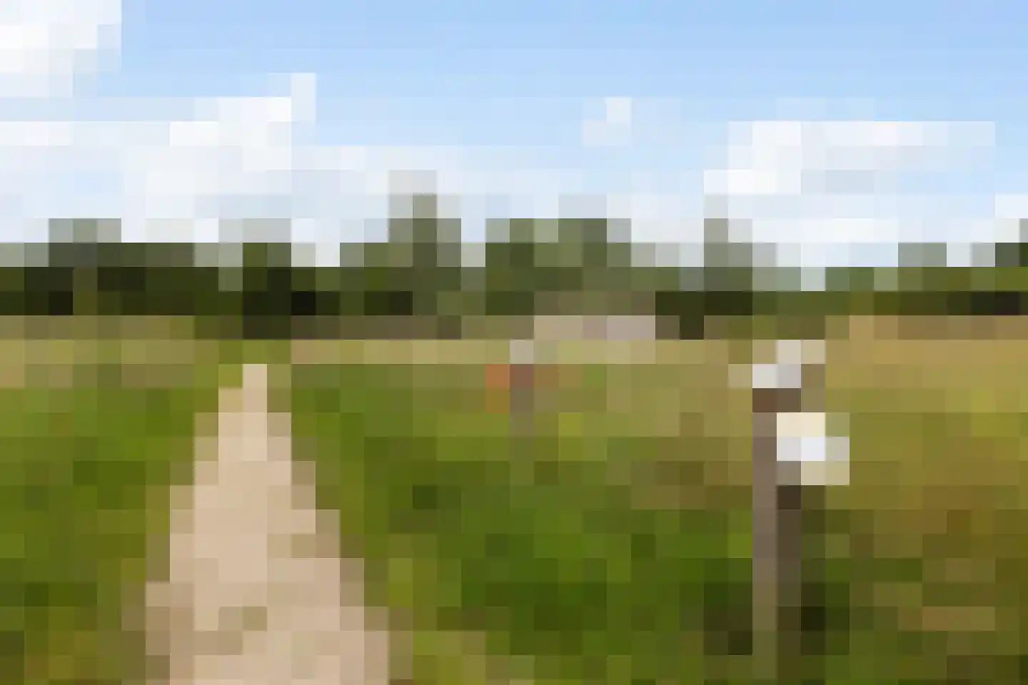 Haverstraat 4 Markelo thumbnail 47