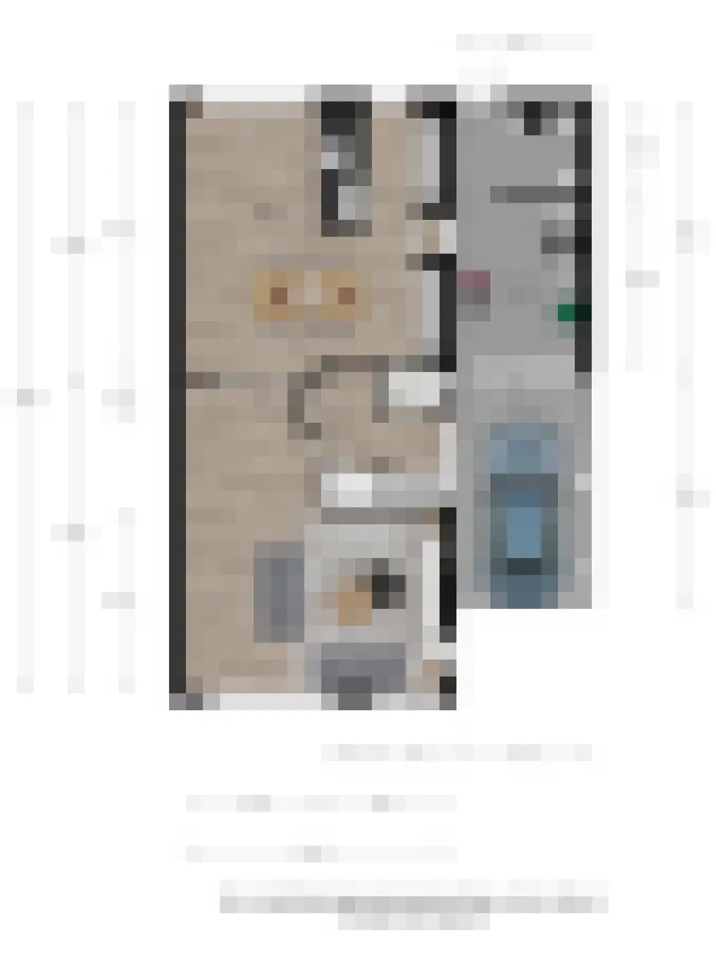 Haverstraat 4 Markelo thumbnail 48