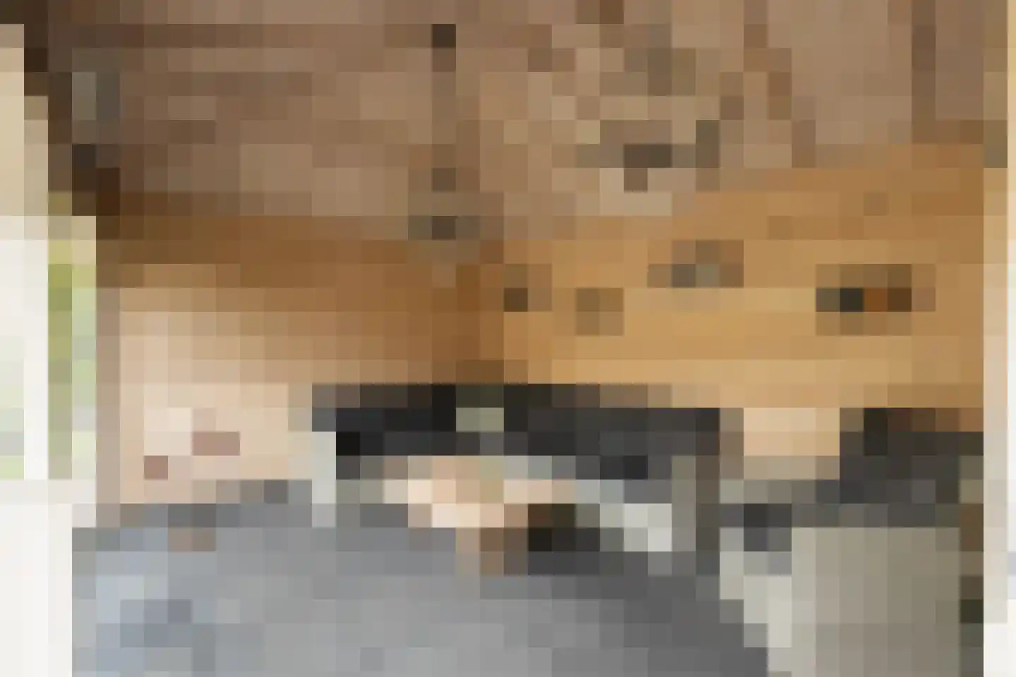 Haverstraat 4 Markelo thumbnail 7